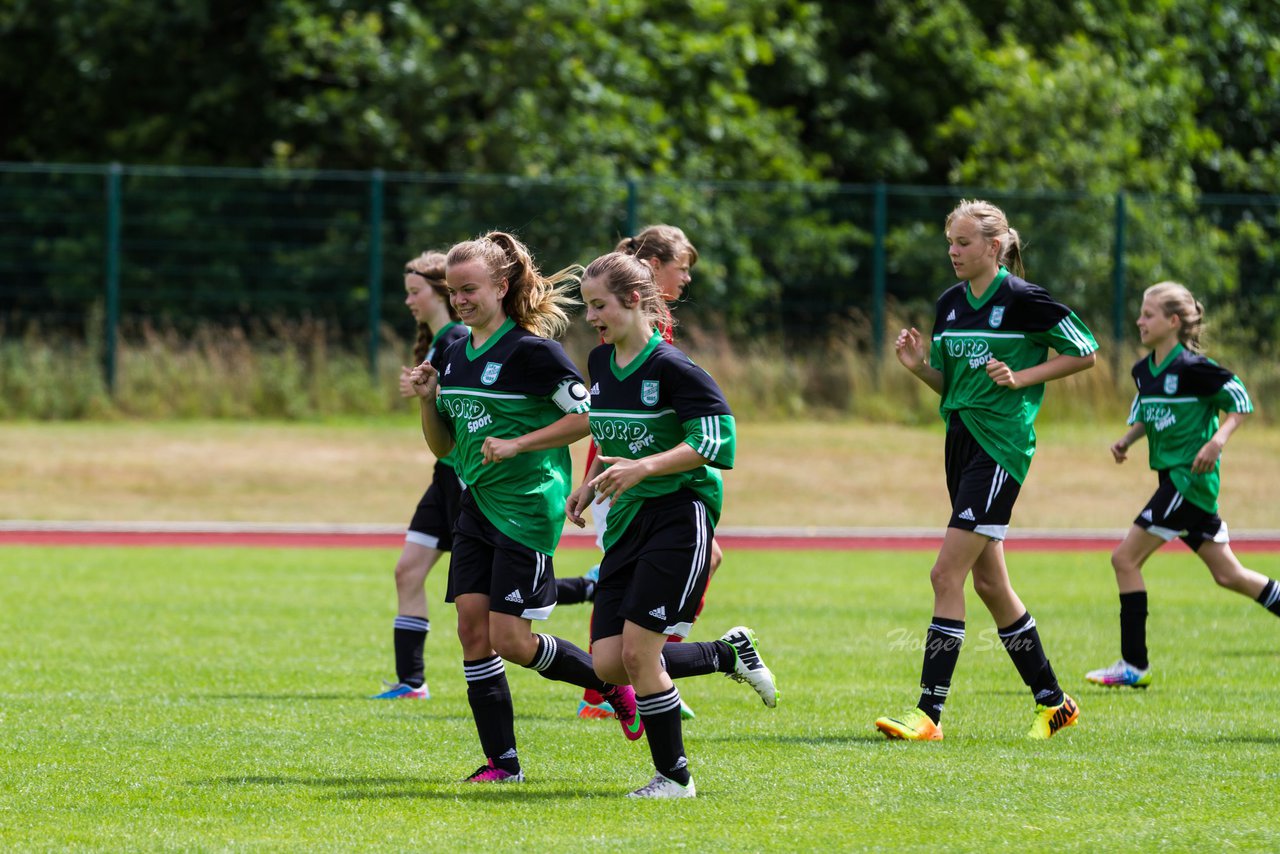 Bild 179 - C-Juniorinnen Landesmeister Finale SV Wahlstedt - TuRa Meldorf : Ergebnis: 1:4